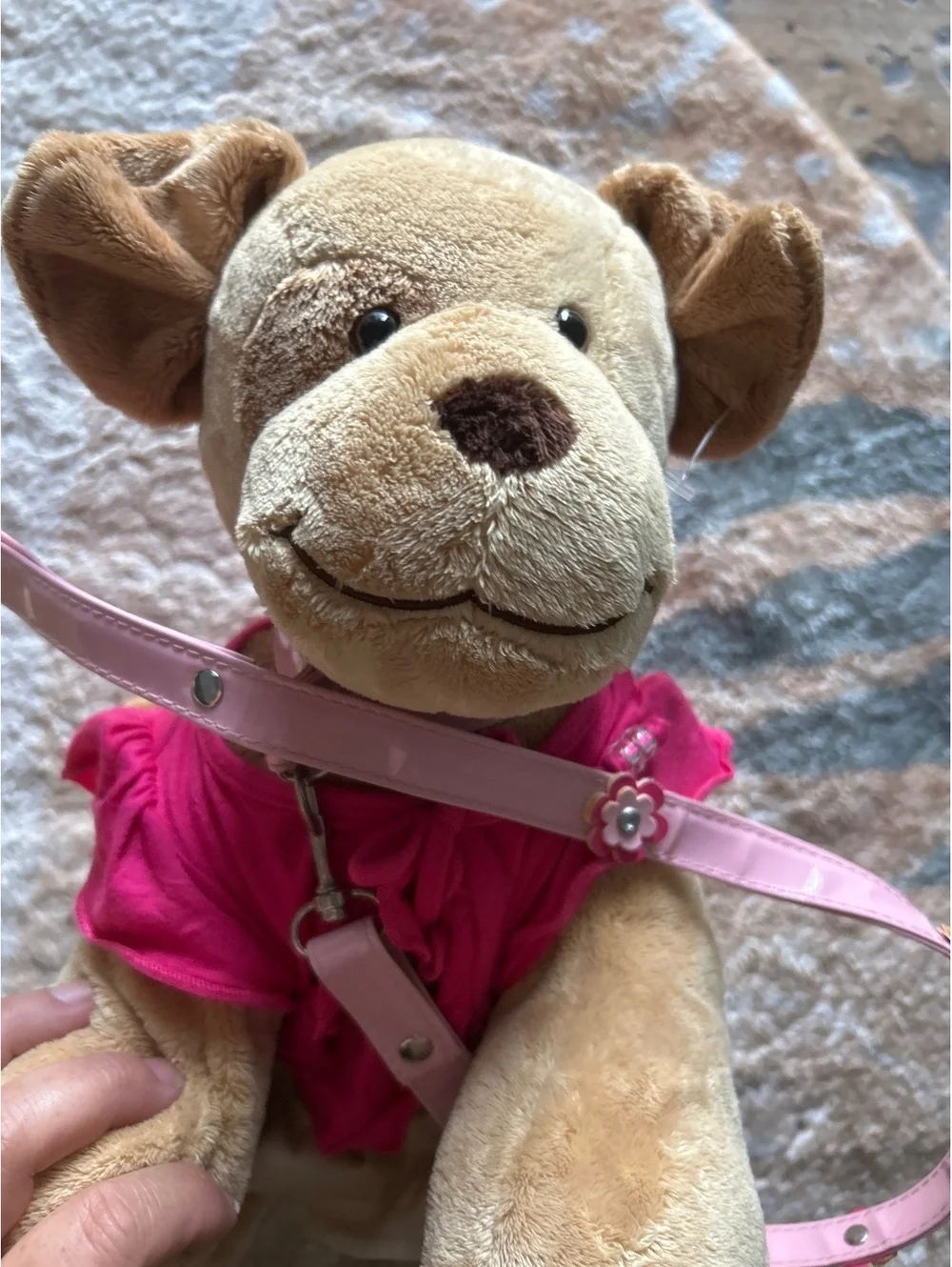 Build a bear puppy with leash
